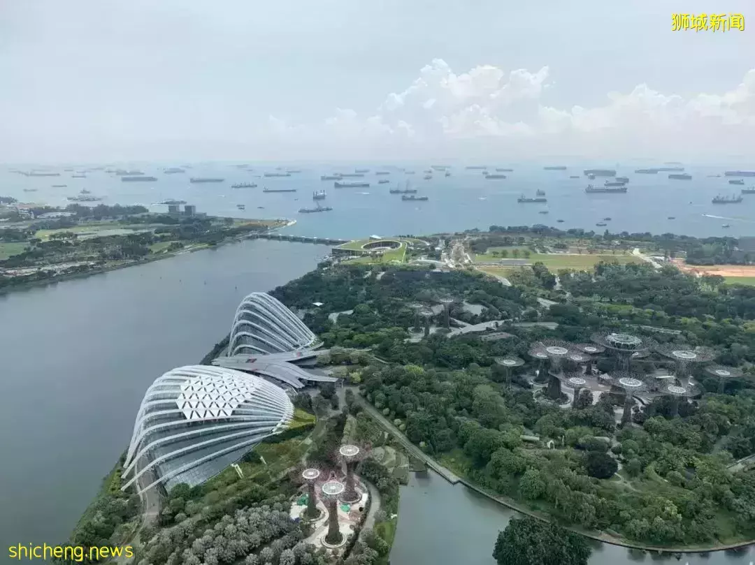 爲了國際化教育來新加坡!結果剛上學第二天就吃冰箱冷飯