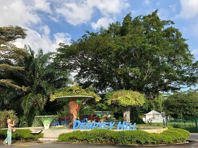 生图刷爆朋友圈！2020新加坡万圣节“惊悚”指南