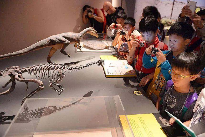 重大變革!新加坡的教育制度將走向何方