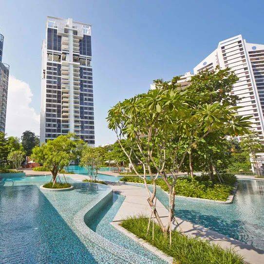 全球名校认可的高中国际文凭,新加坡学生通过率近98%