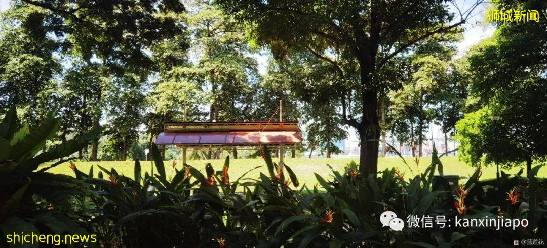 新加坡小众遛娃好去处,吃喝玩乐一应俱有