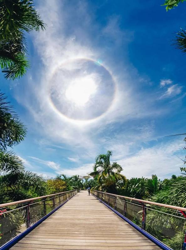 新加坡驚現絕美日暈彩虹光環，李顯龍總理、王瑞傑副總理也轉發了