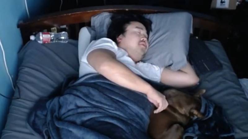 晚上少睡些 白天再補午覺 · 研究:錯開睡眠時間可促進長期記憶力