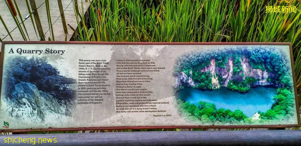 遛娃!徒步!燃烧卡路里~这个新加坡宝藏公园,翻新后更好玩