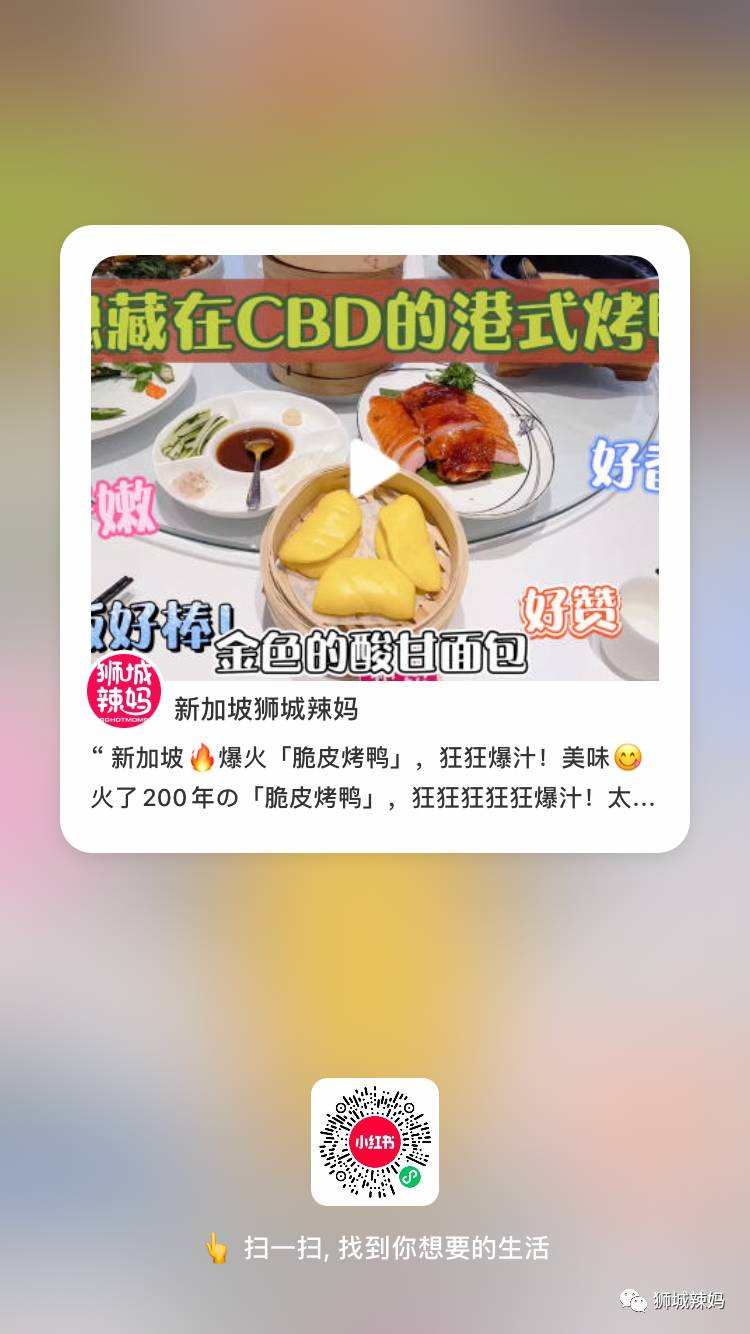 不用錢的玩法！打卡新加坡Ins網紅公園、特色遊樂場、免費看中醫