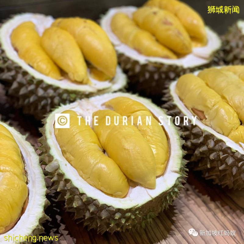 不能親手驗貨很吃虧? 獅城小販將榴梿美照放上網讓買家“相親”!