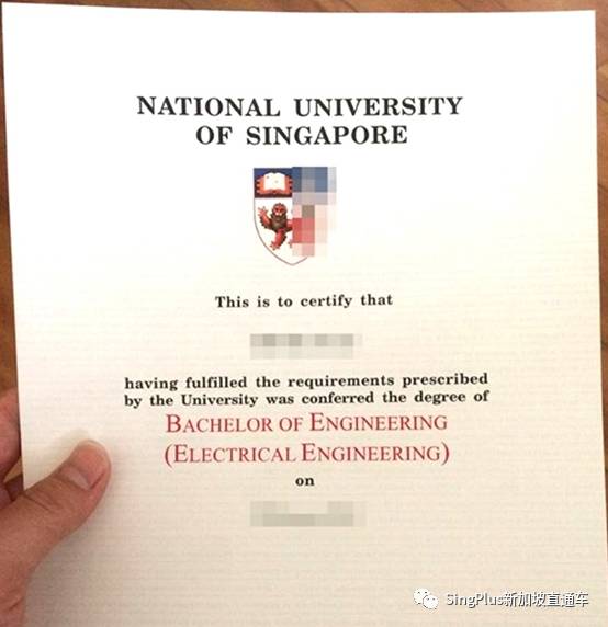中国学生拿假文凭骗父母拿高薪?且看新加坡和中国如何打假