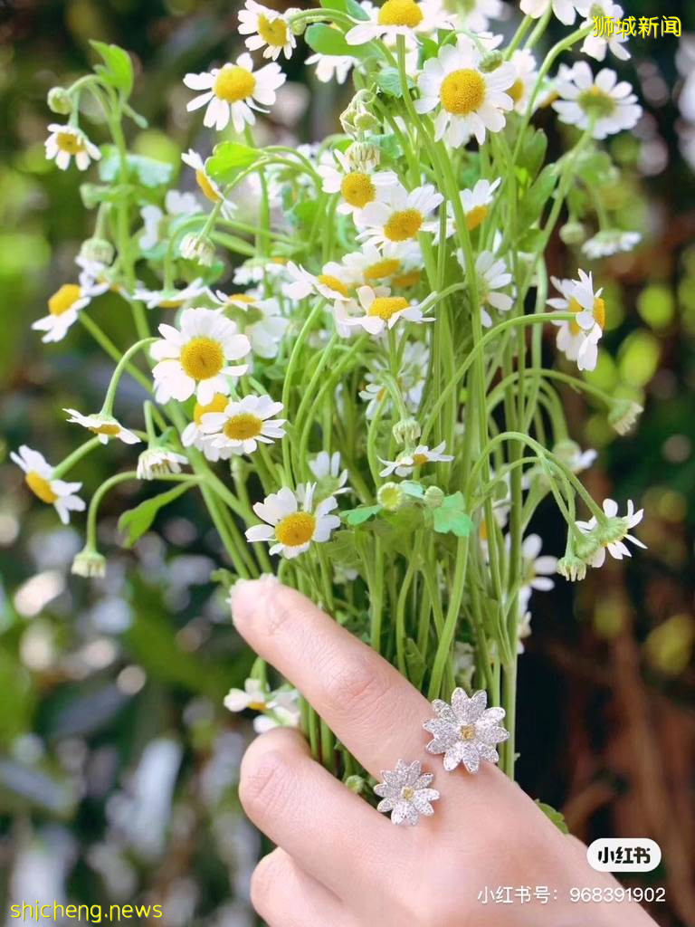 施華洛世奇年中大促！低至6折！文森佐同款、米奇聯名系列、天鵝系列等衆多款式超低價啦