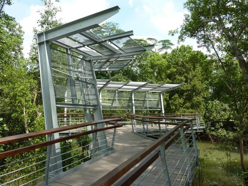 親近大自然，好玩又免費！盤點新加坡9處沼澤紅樹林 · 珍稀野生鳥類 + 特有品種植物 + 漫步木質走道 · 簡直就是大自然愛好者必打卡的聖地