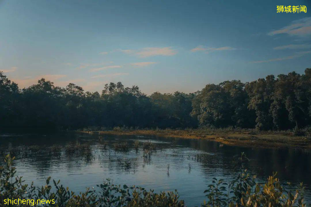 爲應對氣候問題，星展銀行、新加坡交易所、渣打銀行和淡馬錫將聯合推出全球碳交易平台