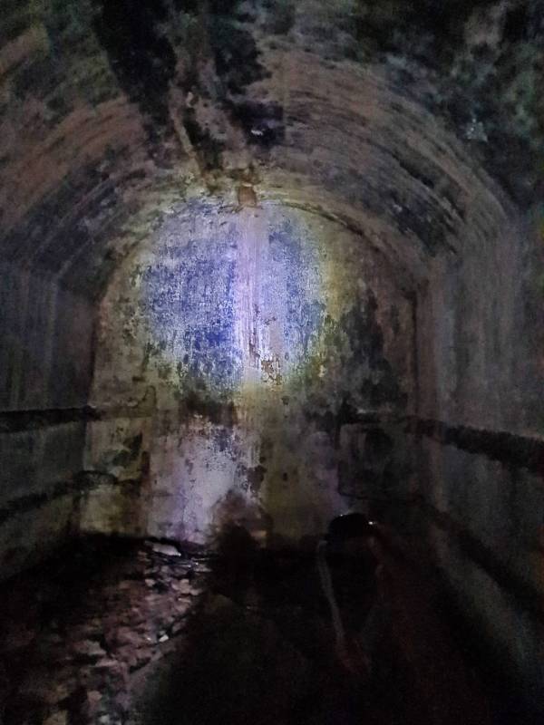 新加坡探险基地🧭 被遗弃的地堡!殖民期保留至今,岁月沧桑+攀藤弥漫的历史遗迹