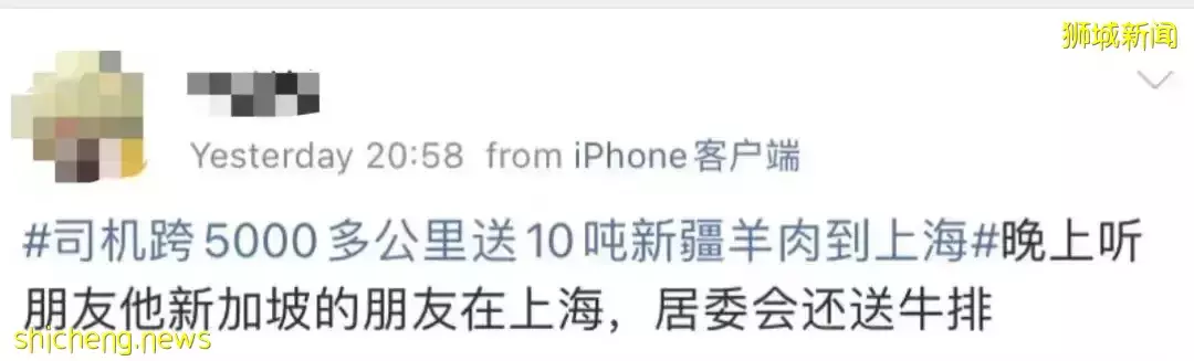 上海飛新加坡機票暴漲至近3萬！登機前可不用核酸檢測！她舉家搬遷來新後，竟然後悔了