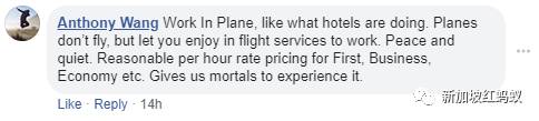 對新航前景憂心忡忡　網友紛紛出謀獻策：機上相親、機艙主題樂園