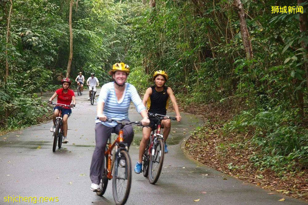 騎行必看！新加坡全島自行車租賃指南，低至$5/天