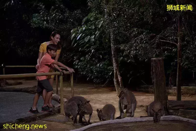 六一去哪儿玩,盘点新加坡亲子游景点攻略