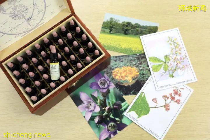 疫情中感到沮喪和焦慮?試試給腦做瑜伽 、給耳朵聽缽“唱歌”、給胃餵點花精、用手收納感情吧