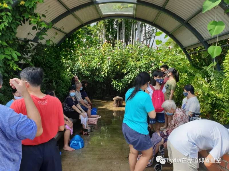 新加坡也有溫泉 三巴旺溫泉公園