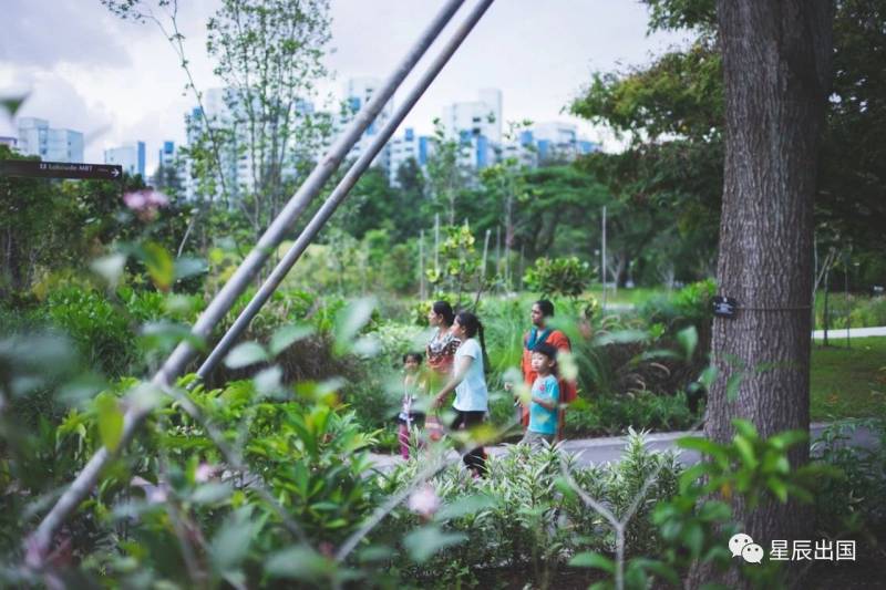 新加坡移民 企業家移民優選新加坡