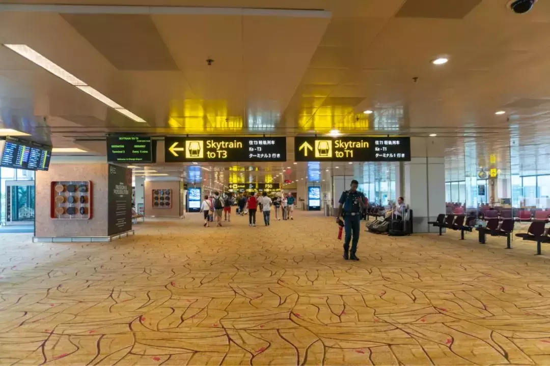 新加坡部长对话中国,信息量超大!若开放更多国际航班,望最先达成协议!这些人或优先安排