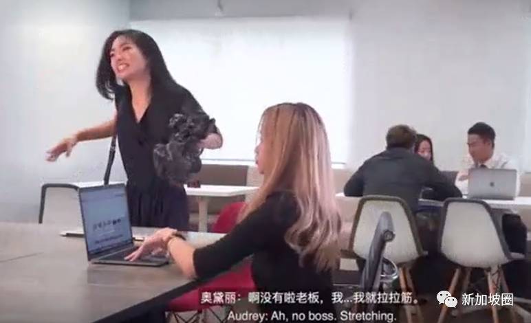 新加坡版办公室里的故事，讲述小白领自娱自乐的苦逼生活！
