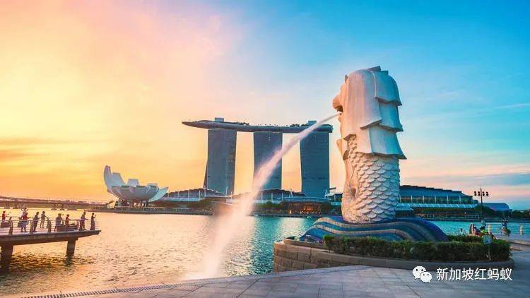 日本和歐洲也有魚尾獅? 它比你我知道的還要神出鬼沒