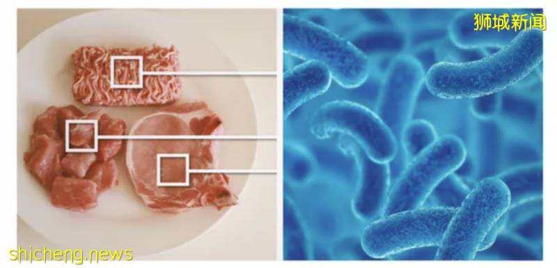 不要食用!这批进口桃子可能被细菌感染,新加坡知名超市均有销售