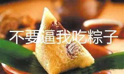 新加坡本地人推荐的粽子！老字号VS新网红，到底哪家值得买