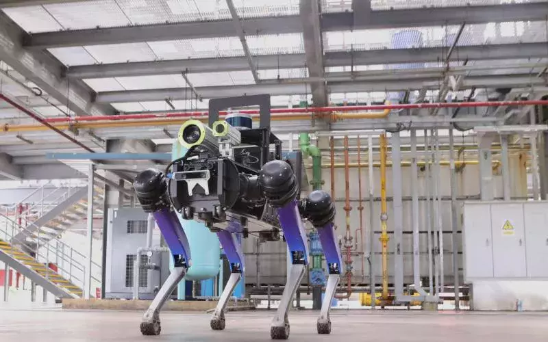 机器狗或在更多危险场合代替内政人员执行任务