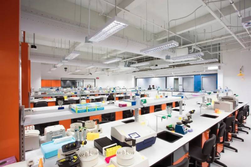 新加坡PSB學院,如何實現彎道超車,逆襲985、211院校?(證書類及本科課程介紹)