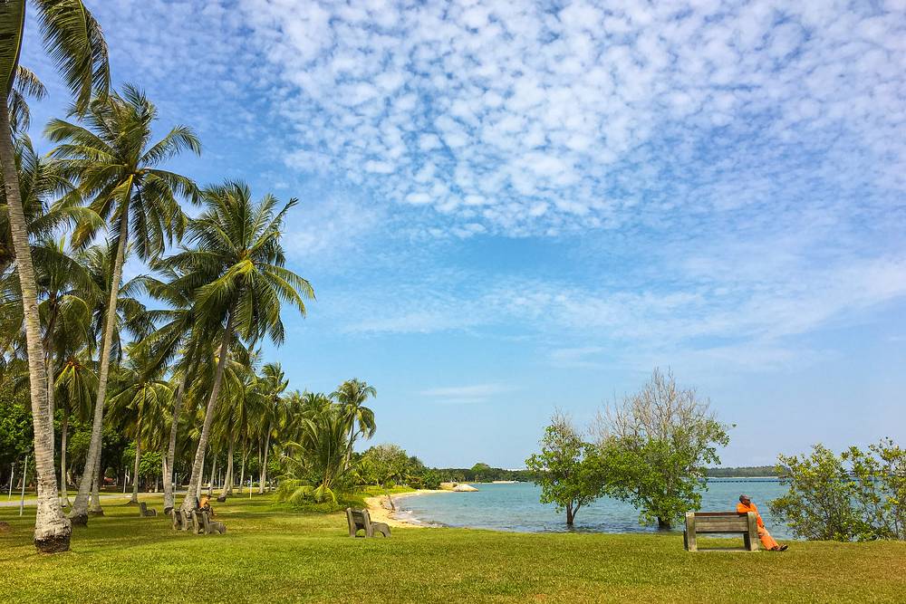 獅城出片率最高的野餐地，收藏起來！給你新加坡式陽光與慵懶