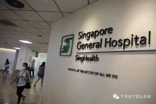 新加坡醫療之政府醫院