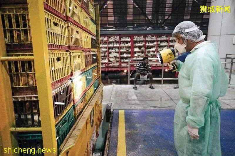 新加坡爲什麽是全世界最適合居住城市!