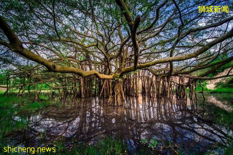 最適合帶孩子去的—新加坡裕廊湖畔花園