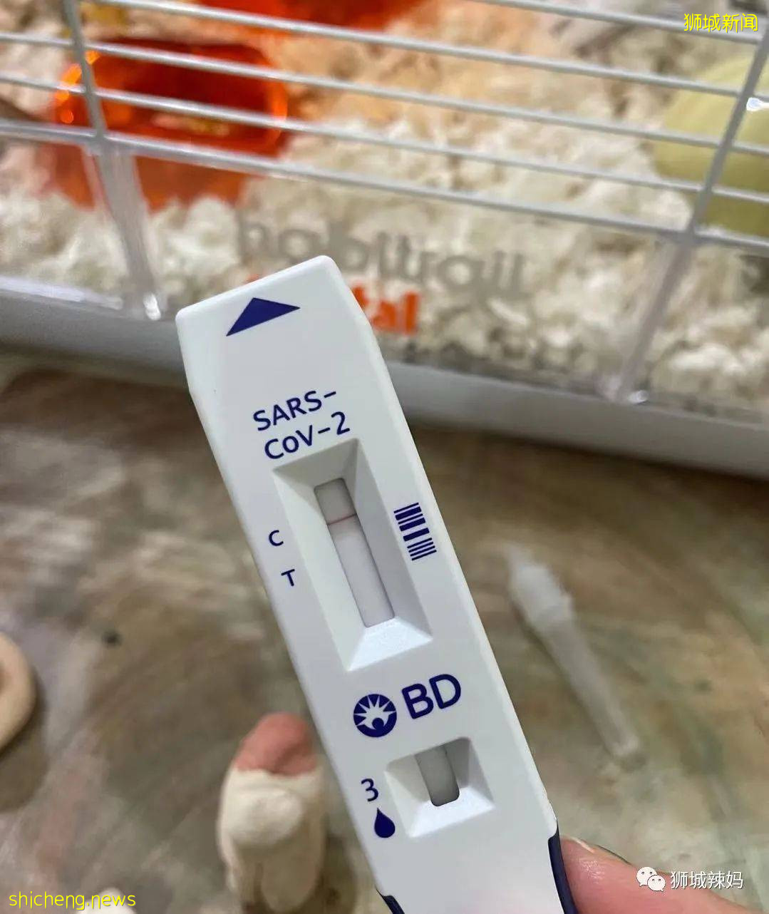 破600！新加坡小學發自檢儀，學校、療養院、商場......感染群持續擴大中