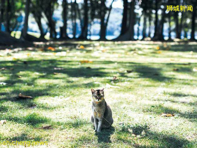 新加坡解封後,10個兩人同行必打卡的有情調好地方