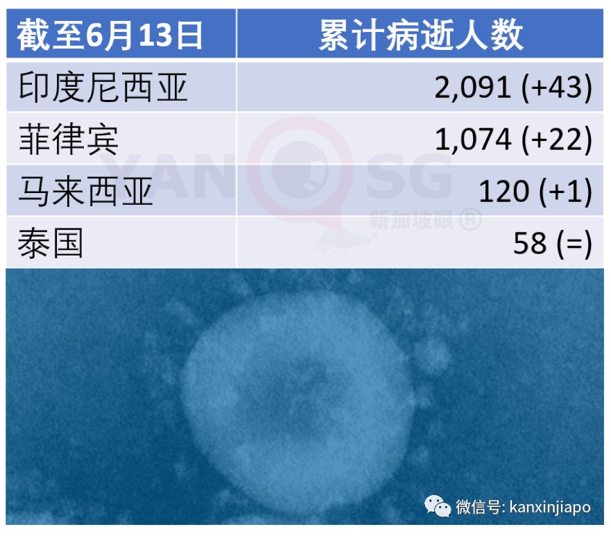 今增XX，累计XX|新加坡6月底是否能恢复几乎所有经济活动，就看下周了