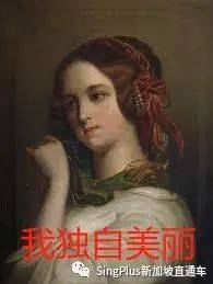 《新加坡高校留学生图鉴》