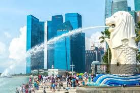 三类新加坡工作准证，你该申请哪一类