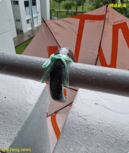 租屋居民搞创意, 走廊装雨伞免费收集雨水