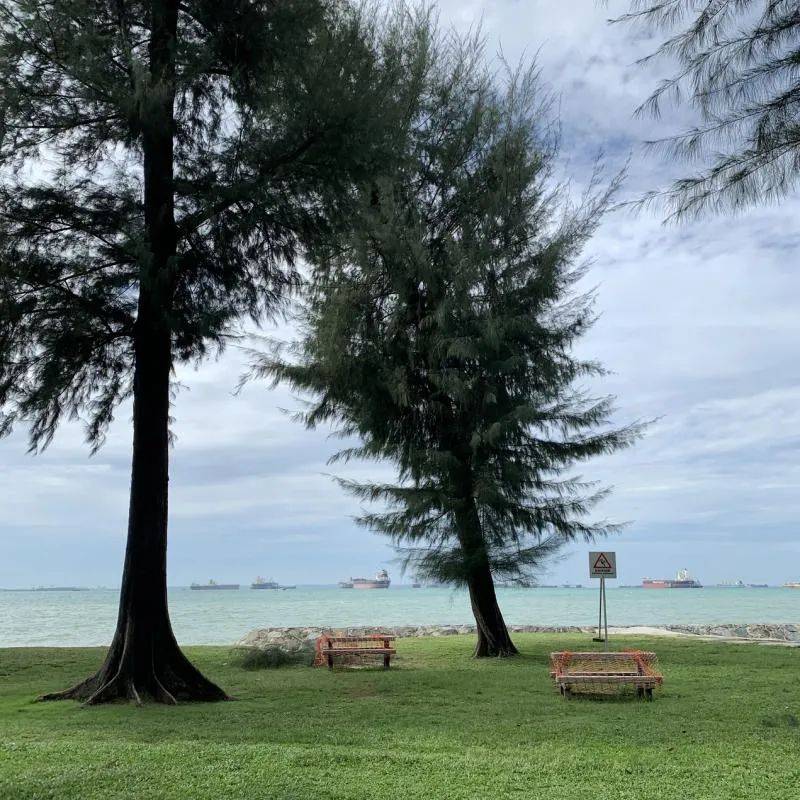 新加坡国内游走起!日出到日落 东海岸撒网