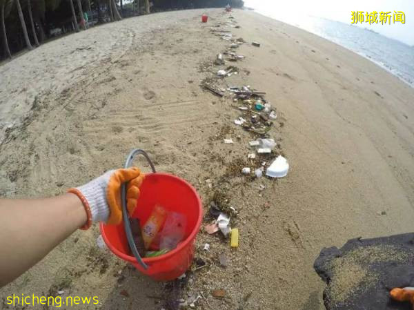 辛苦！劳动节新加坡志愿者们海滩捡垃圾 ，重达1700多公斤