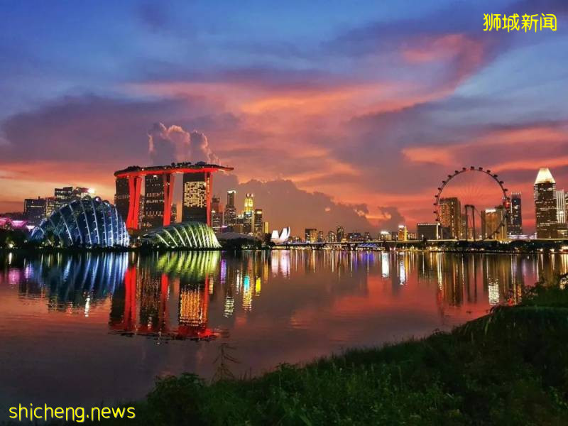 今增407，累計40604|新加坡6月底是否能恢複幾乎所有經濟活動，就看下周了!