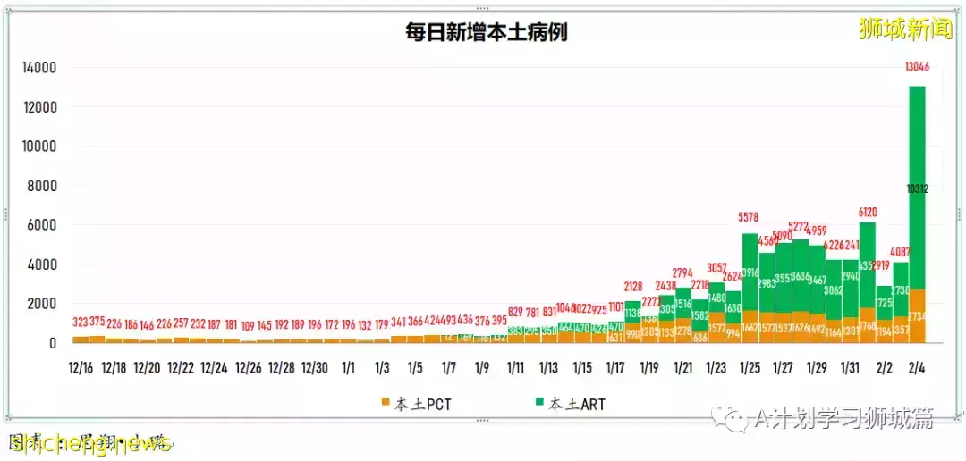 新增10390起,其中本土10208起;新加坡连续第二天确诊冠病超万起