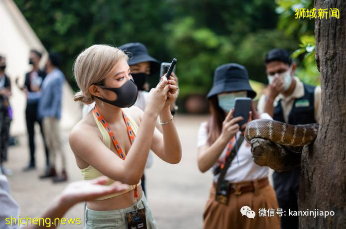 小米新加坡牵手Night Safari动物园网红大象,温情满满