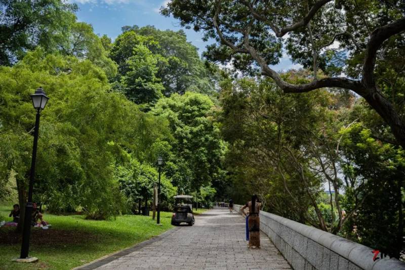 这座网红美照最多的小山,承载着新加坡那段血与火的历史