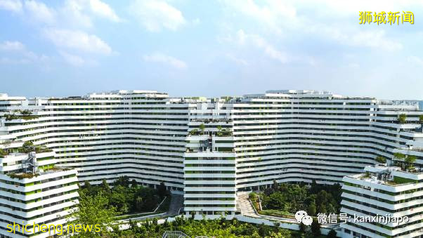 新加坡8大网红组屋打卡点,你知道几个