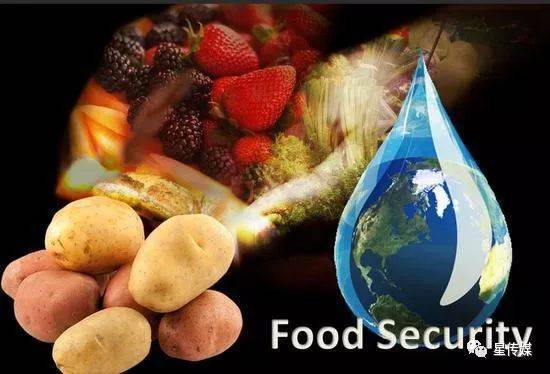 新加坡食品安全蝉联世界第一 中国名列35位
