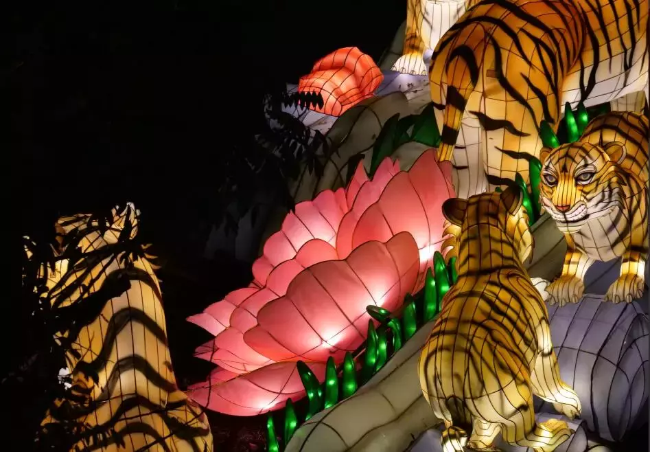 新加坡今年的“虎”點“彪”,居然“妩媚”地對我笑