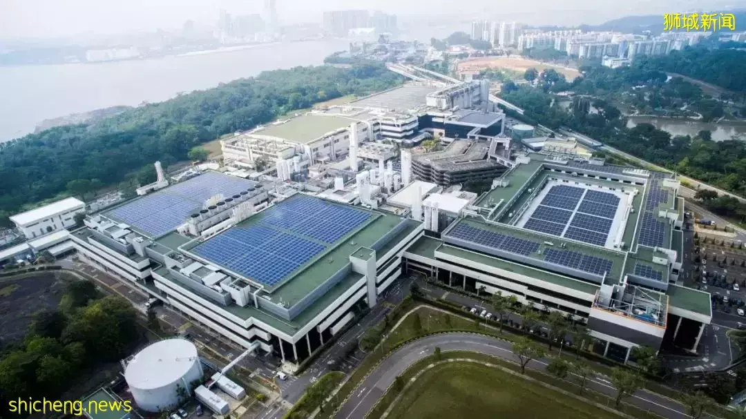 網傳他們要來新加坡了！官方回應：不能說，先保密