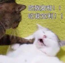 新加坡7大獨立放映室，拯救片荒的你